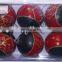 Plastic Christmas Ball Decoration in High Quality