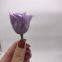 Wholesale3-4cm elegant real touch preserved rose flower