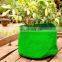 Sales Promotion Garden Green Harmless Poly Grow Bag