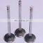 K19 Exhaust Valve 3035110 3803529 3088391