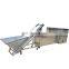 Automatic Plum Apple Peach Stone core Remover removing machine Industrial Plum Pitter Machine price