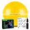 Manufacturer Pvc 55Cm Yoga Exercise Ball,Fitness Ball Yoga
