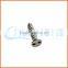 China Supplier Torx Head Anti-theft Screw