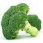 Broccoli Seeds F1 Hybrid High Yield Beautiful Green Cauliflower Seeds