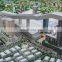 Miniature architectural house model large scale models