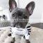 2021 New Wholesale Luxury Designer Outfits Supplies Apparel Pet Dress Dog Clothes