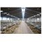China Cheap Prefab Steel Structure Building Dairy Cow Farm Shed