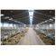 Build Low Cost Metal Cowshed Prefab Steel Cow Farm Building