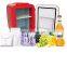2022 Hot Sale Car Refrigerator Mini Refrigerator for Cosmetic Drinks 12V Car Refrigerator Mini
