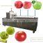 Professional Heavy Duty Amish Johnny Apple Pineapple Quinces Corer Slicer Peeler Machine Equipment