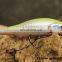 Fish Hunter DM2C  Fishing Lure Saltwater Casting Baits ure Sinking Hard Vertical Jigging Lure