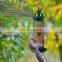 Amazon Hot Sale Hanging Jarden  Metal Cage Squirrel Proof Bird  Tube Feeder