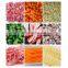 Commercial Meat Dicer Machine Frozen Meat Dice Chicken Beef Pork Cube Cutter