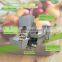 companies looking for distribute industrial onion peeling machine onion peeler with root cutter onion skin peeler