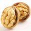 Walnut 2023 New Crop Premium Quality Dried Fruit Walnuts Kernels Without Shell