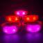 Custom Glow in Dark LED Wristbands Wedding Light up Bracelets for Events