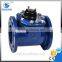 Removable Horizontal Woltman Water Meter