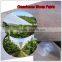 0.2mm 140gsm super clear pe woven fabric for greenhouse and farm/cherry tree cover