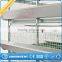 new style galvanized steel wire cage for quail,metal quail cagel,quail cage