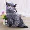 Promotional 3D cool printing cat shaped handbag                        
                                                Quality Choice