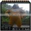 China Manufacture fiberglass animal statues Bear sculpture