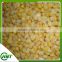 Frozen Iqf Sweet Corn Kernel In China