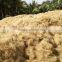 COCONUT FIBER FOR MATTRESS - ECO FRIENDLY PRODUCT
