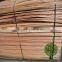 Canarium face Veneer/Red Olive face Veneer