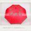 Apollo Straight Watermelon Fruit Umbrella