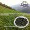 Loose Leaf Tea Packed Super Tiekuanyin Fujian Oolong Tea