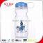 Personalized Health Fruit Water Bottle