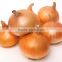 Supply Fresh yellow onion with best price for sale