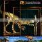 MY Dino-C068 Skeleton decor life size fiberglass dinosaur skeleton