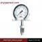 standard type M20*1.5 flush diaphragm homogenizer Pressure Gauge