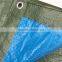 Hot sale PE tarpaulin