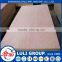 commercial plywood from shandong plywood factory