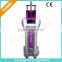 Arm / Chest Hair Removal Arm / Chest Hair Removal Painless Permanent 808nm Unwanted Hair Diode Laser Hair Removal Clinic
