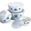 Set of 4pcs Enamel Cookware Food Storage Container With Plastic Lids