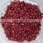 Chinese Red Kidney Bean With Wholesale Price