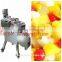 CE approved automatic fruit vegetable cuber for sale