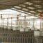 *Many kinds of pig feeders for sale, Dry & wet feeder,feed bin