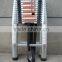 telescopic ladder philippines
