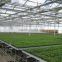 Aluminum frame Glass Greenhouse PC greenhouse with aluminum structure single span with automatic ventilation greenhouse