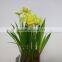 Artificial mini narcissus bonsai for table decoration