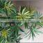 Artificial podocarpus tree branch