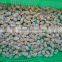 Sand and chemical free new boiled clam meat for sale