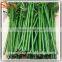 New Style Artificial Evergreen Bamboo Stick, Fake Bamboo Poles With Good Price