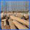 Factory Price Paulwonia Wood for Furniture Supplier
