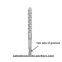 SDS Carbide Bit