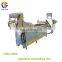 CWA-2000 Commercial Electric Type Fruits and Vegetable Cutter & Washing Production Line